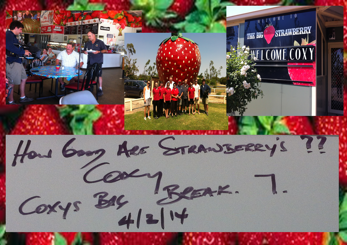 Coxy visits the big Strawberry