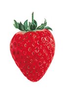The BIG Strawberry Icon
