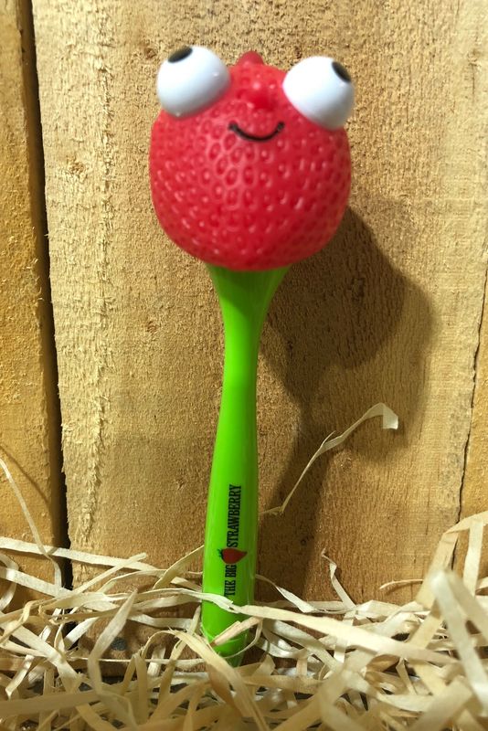 Big Strawberry Spongy Pen