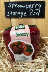 Big Strawberry Storage Pod